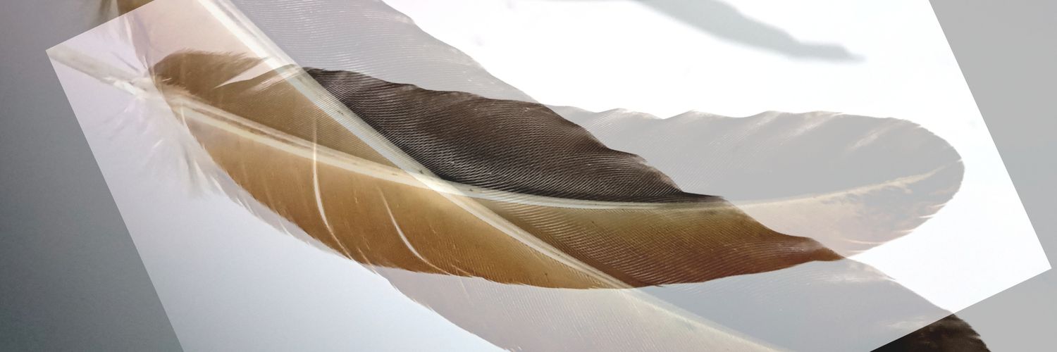 scrollerfeed's profile banner image