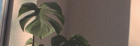 _bb2003x banner