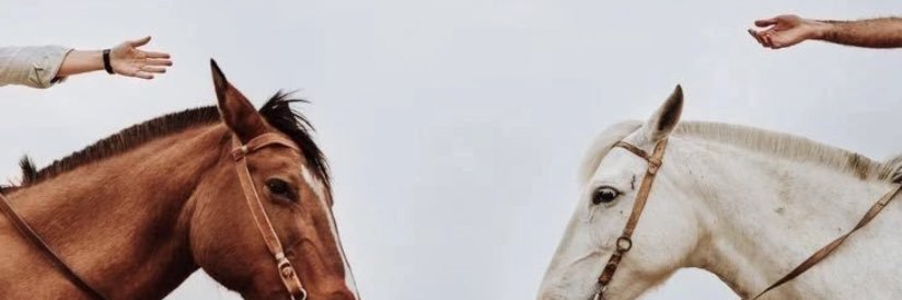 svlayykar's profile banner image