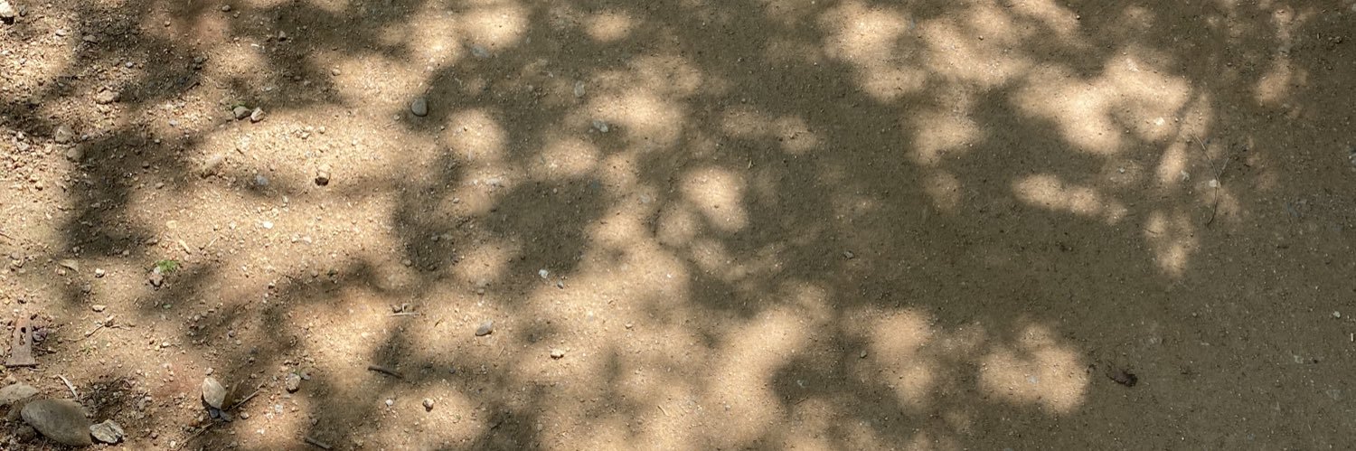 lucialu07's profile banner image