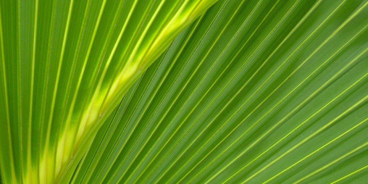 msgomezm's profile banner image
