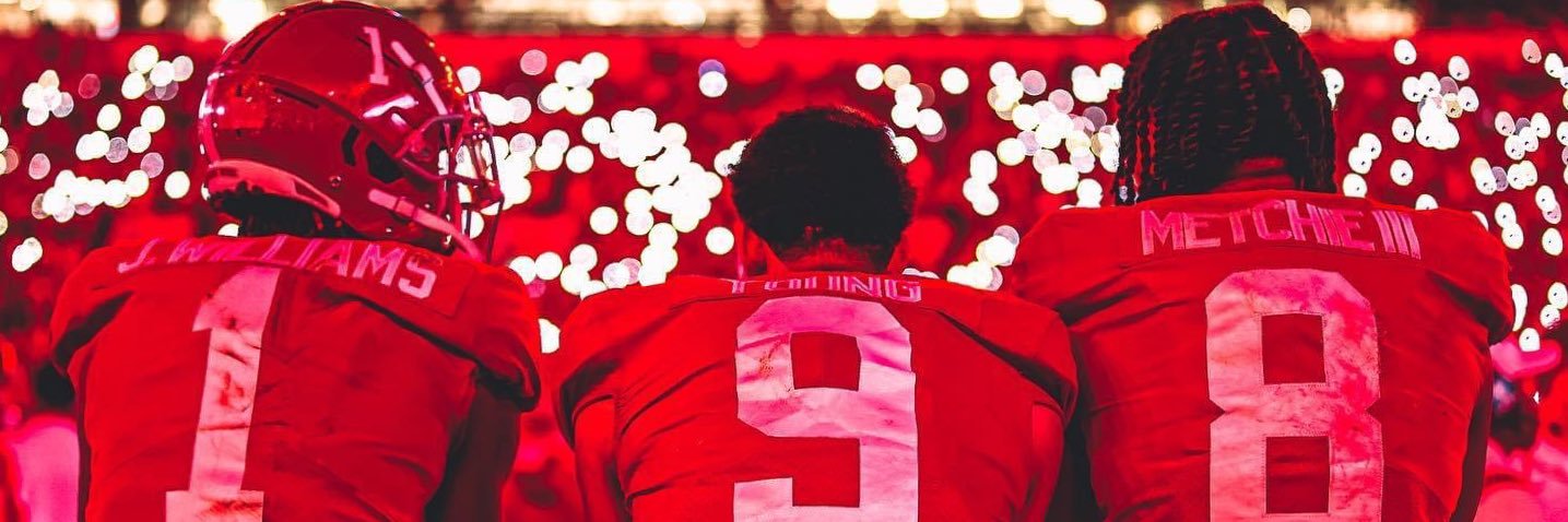 Alex 🦁 banner