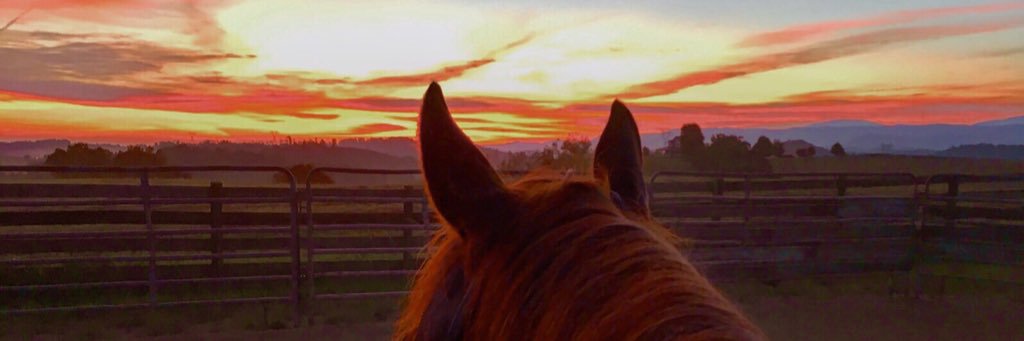 rachlyons89's profile banner image