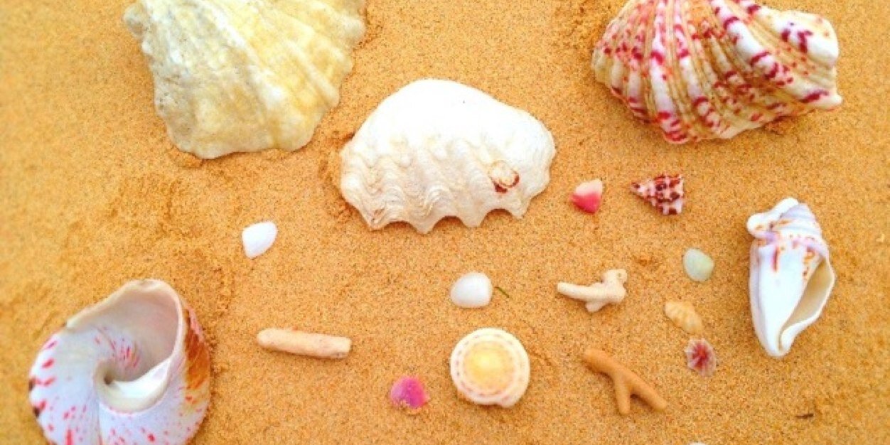 youchan_s's profile banner image