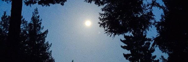 Pam Profile Banner