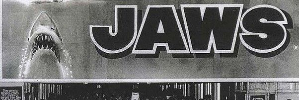 Shaun Bennett banner