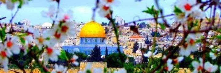🇵🇸✌️💚 𝕄𝕆ℍ𝔸𝕄𝕄𝔼𝔻 banner