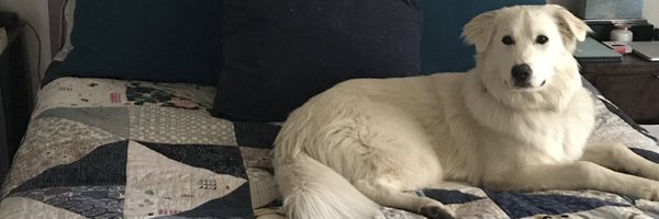 sblairpayne Profile Banner