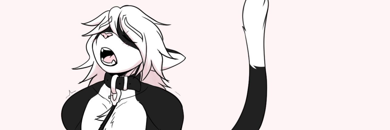 HimboCatDad's profile banner image