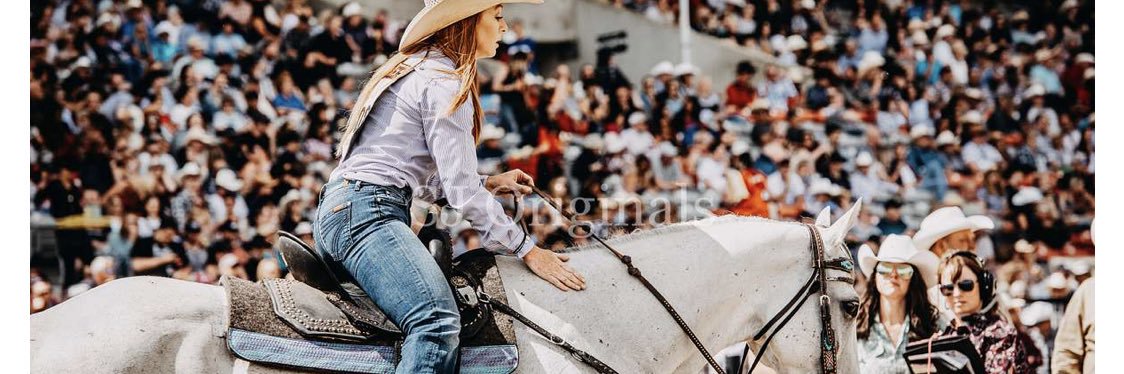 Emily Miller-Beisel banner