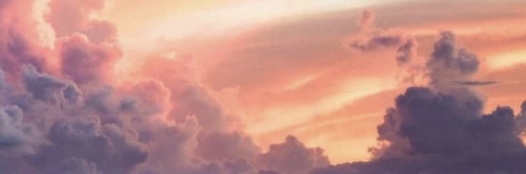 Noty 💜. banner