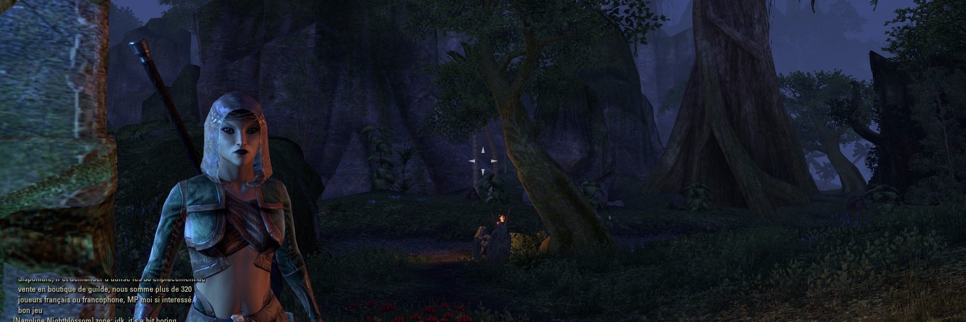 Nanda Stanneveld banner