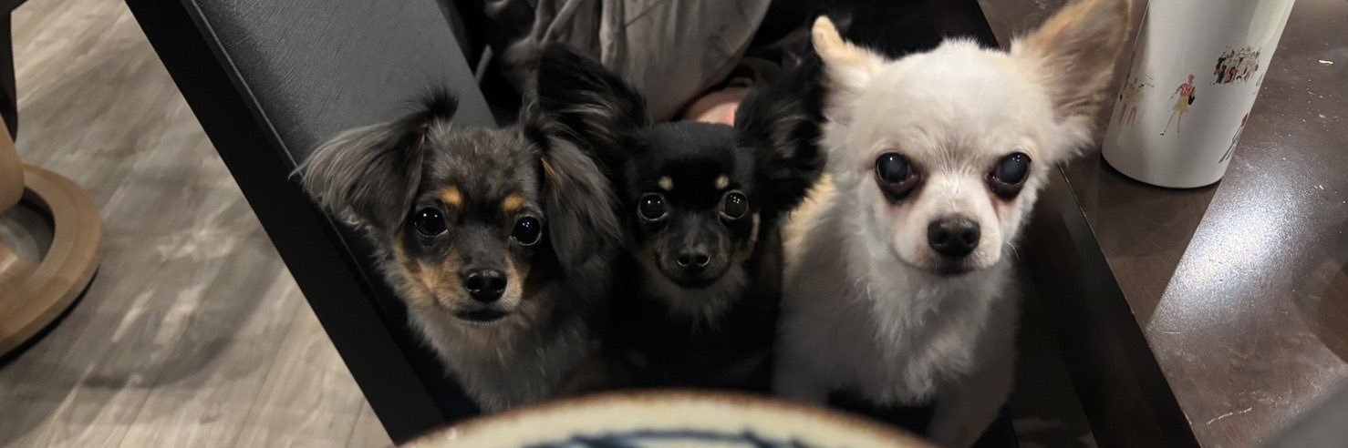 chokin_myfp's profile banner image