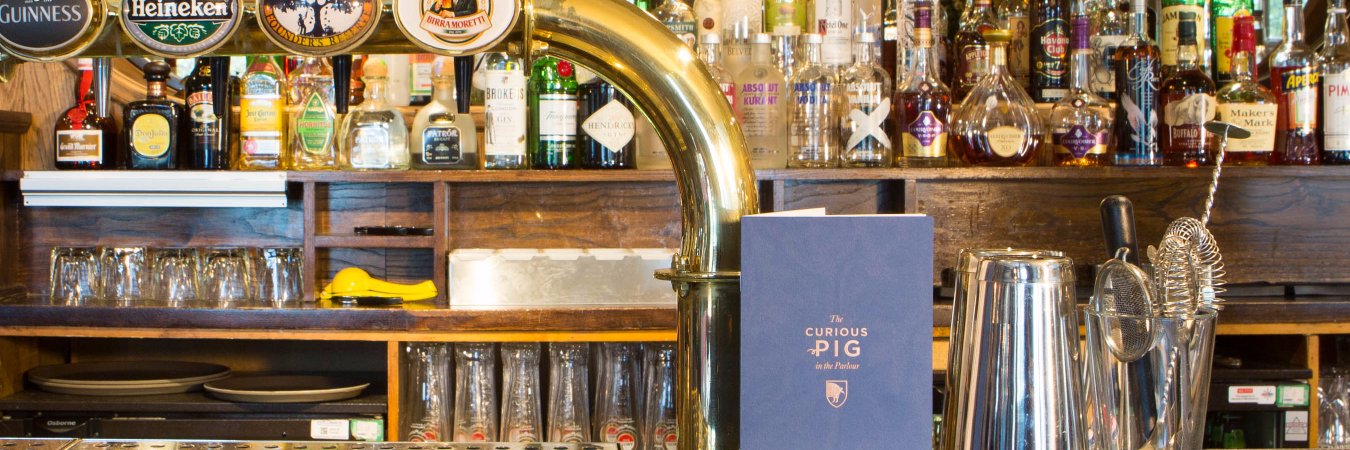 curious_pig's profile banner image