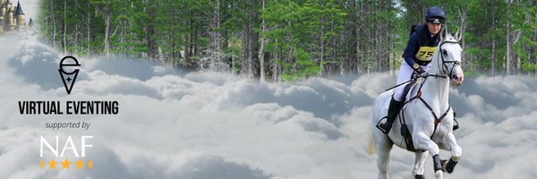 VirtualEventing Profile Banner