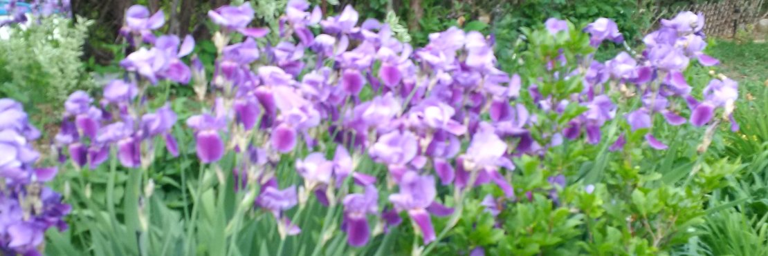 Bellesx4's profile banner image