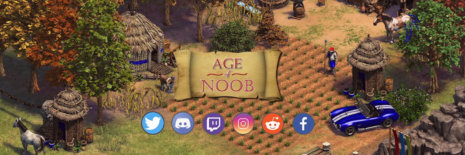 Age of Noob banner