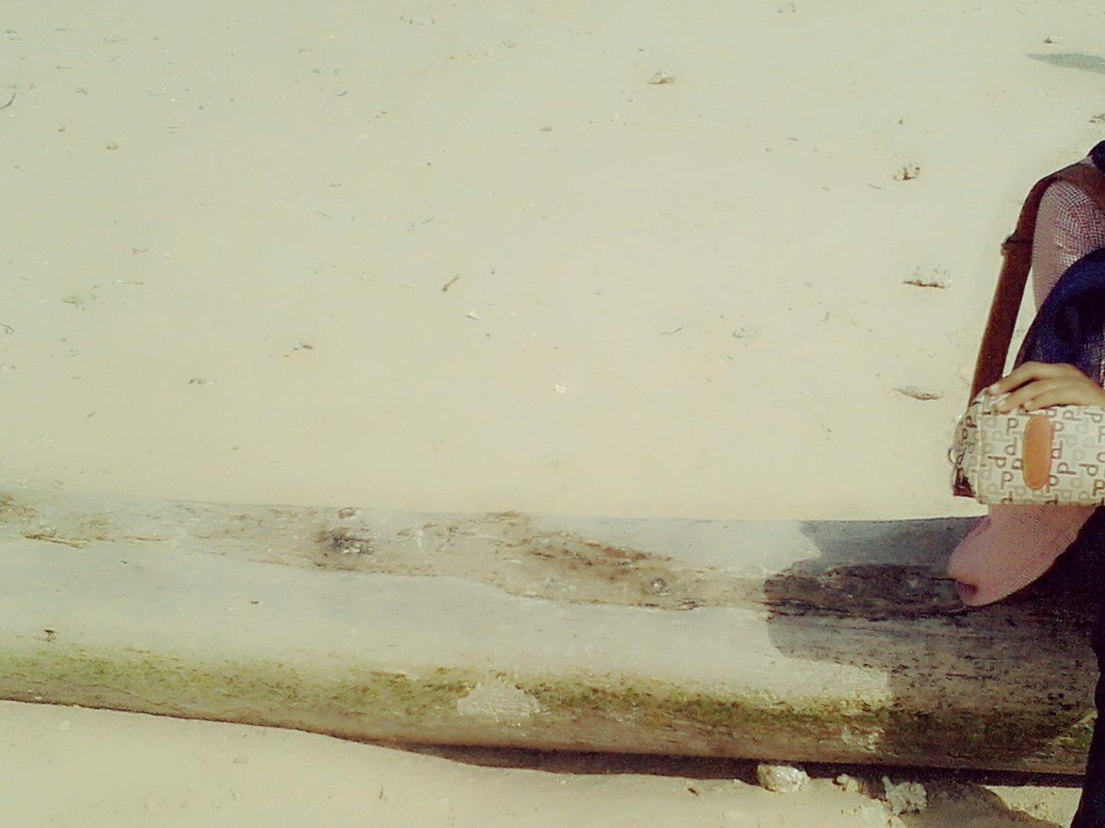 Rifah Hamid banner