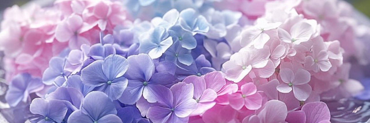 さみ banner