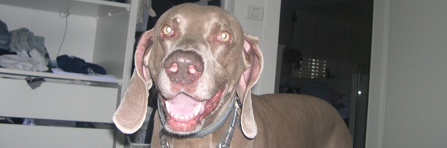 ☸️👃🏻☸️ banner