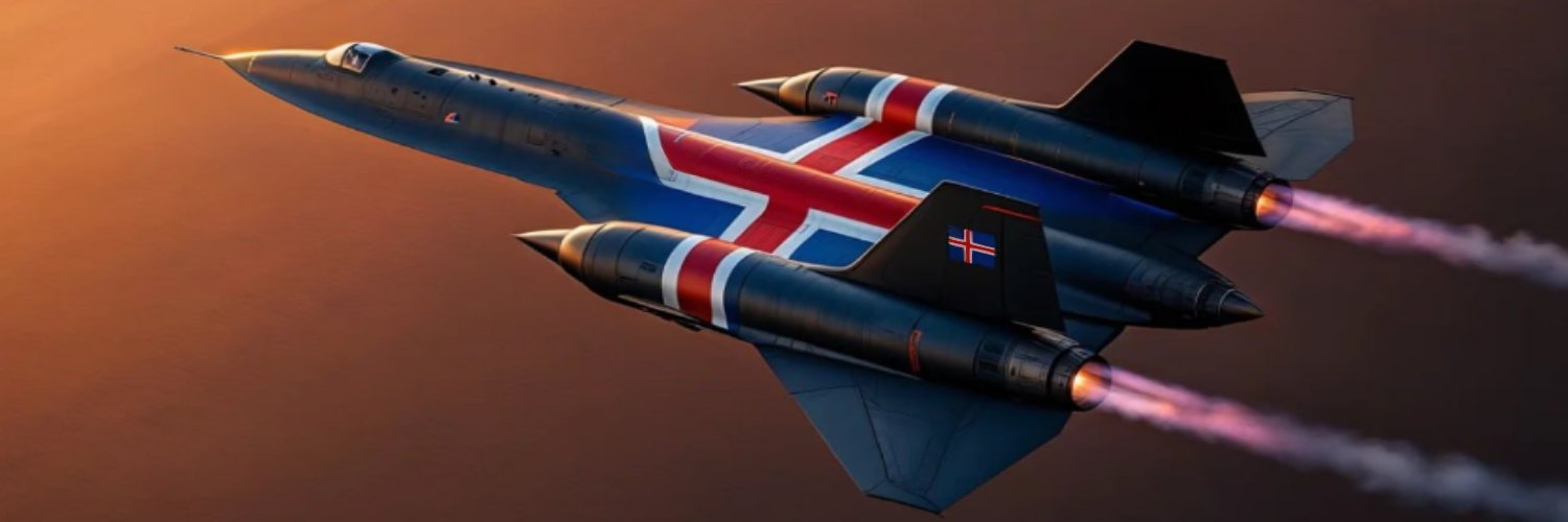 Ingólfur Ari banner