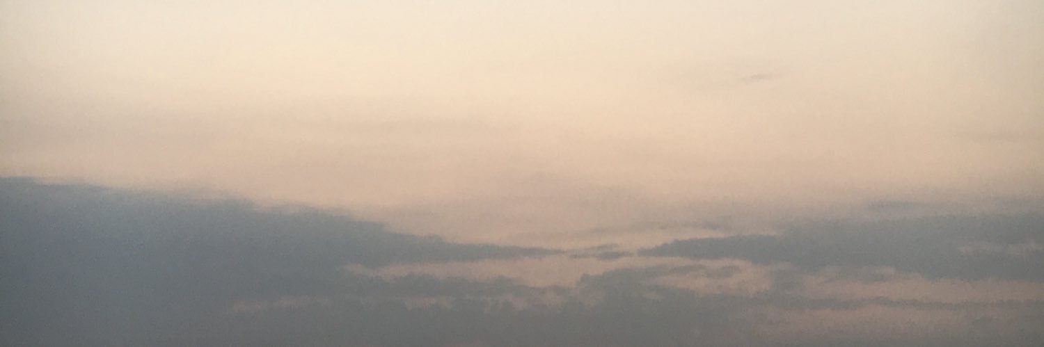 ppyflo123's profile banner image