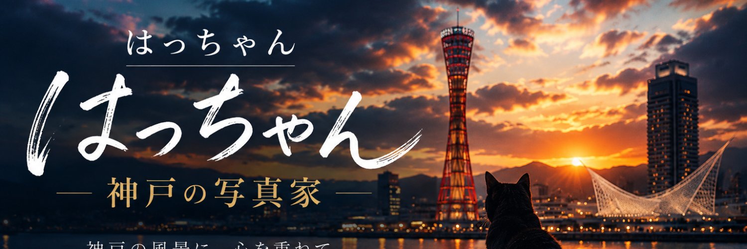 saitoh2010's profile banner image