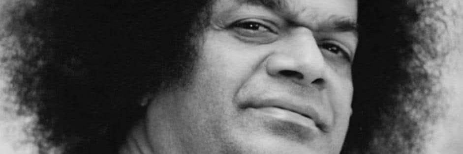 Gecko Tropic 𓂀 banner