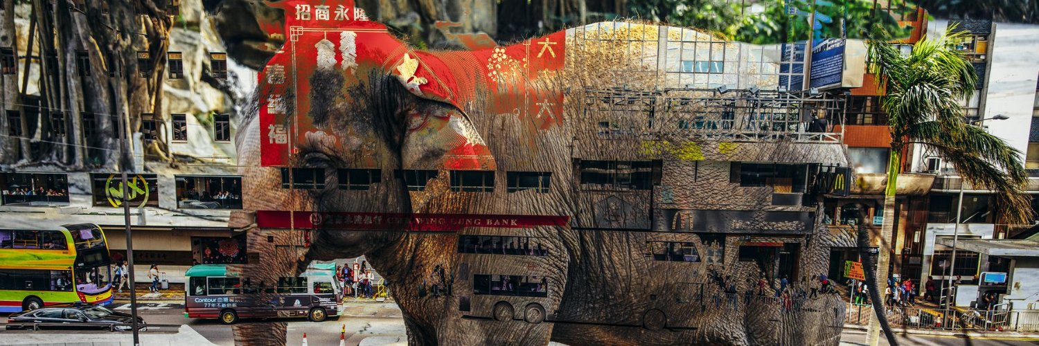 huweiwei999's profile banner image