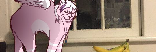EuhedralCrystal's profile banner image