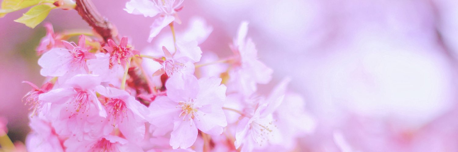 goodday0206's profile banner image