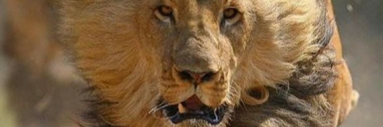 audrion1's profile banner image