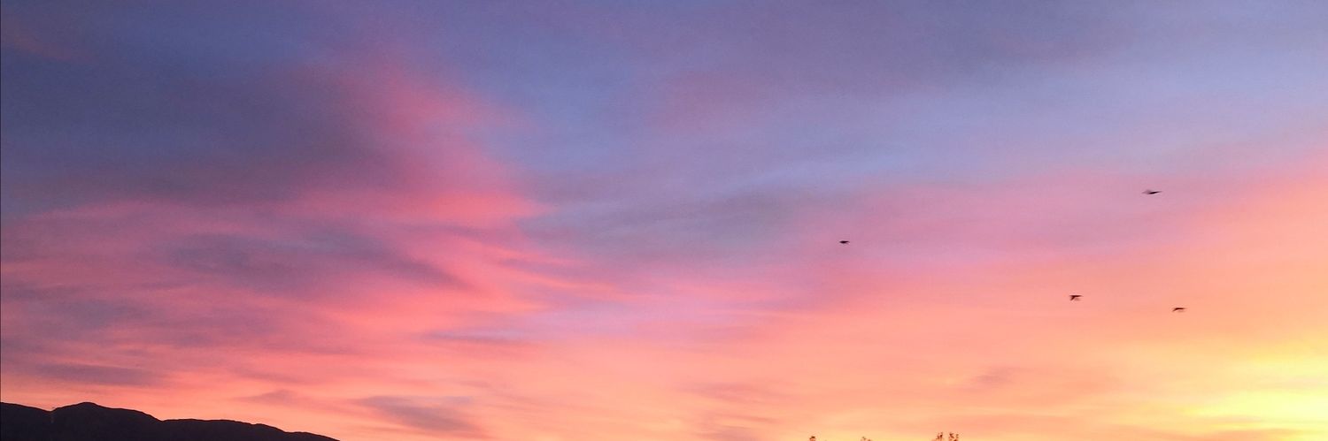 Lizcl8's profile banner image
