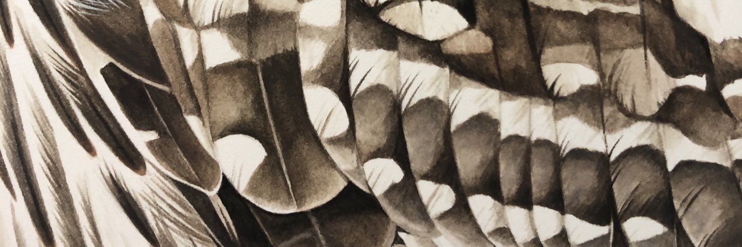 Liz Clayton Fuller banner