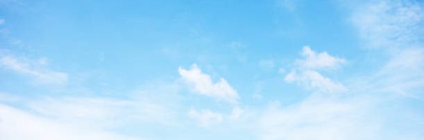 AnArmyofBees's profile banner image