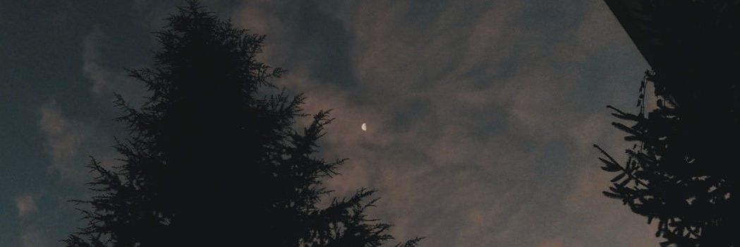 RayBerryRoaring's profile banner image