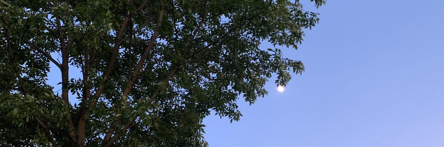 AutumnNCrouse's profile banner image