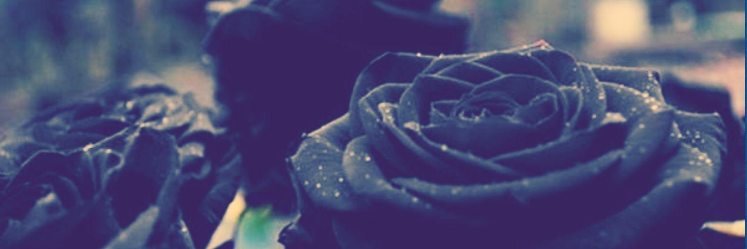 Delia100712's profile banner image