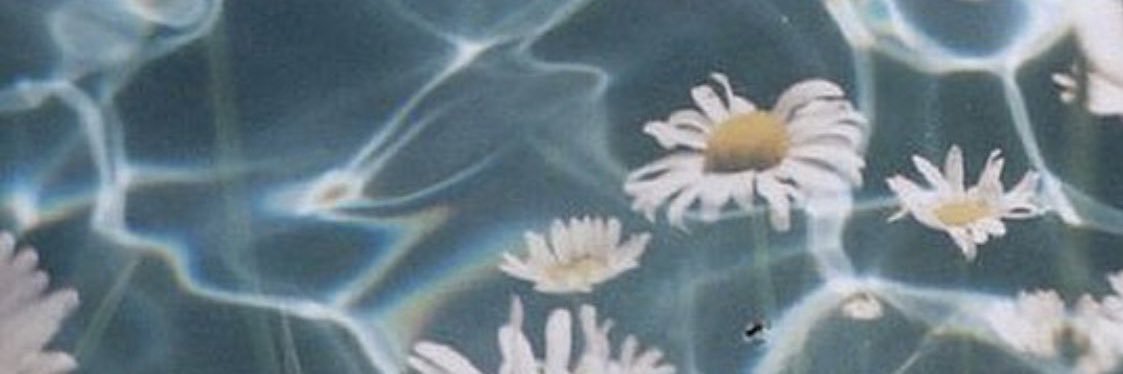 yoi_primavera's profile banner image
