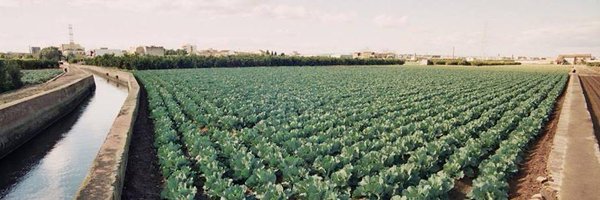 CompromisHortaN Profile Banner