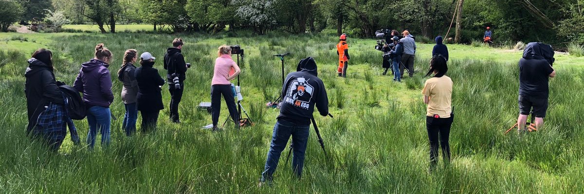 Clare Sturges • Director banner