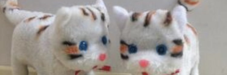 ibonesaintx's profile banner image