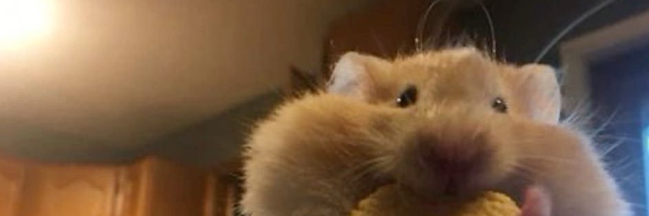 sangwonkedip's profile banner image