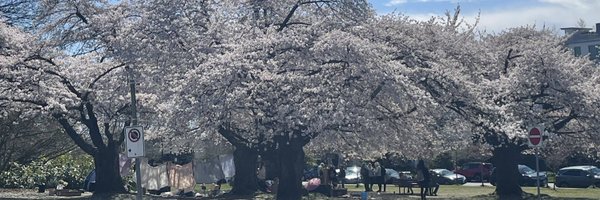 neuroaidz Profile Banner