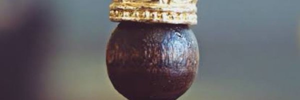 JENISH1008 Profile Banner