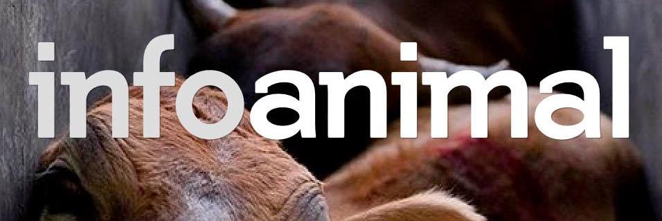 InfoAnimal Ⓥ banner