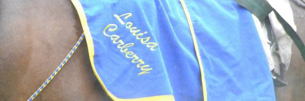 CBloodstock Profile Banner