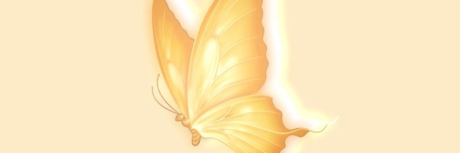 gdnn_dixie's profile banner image