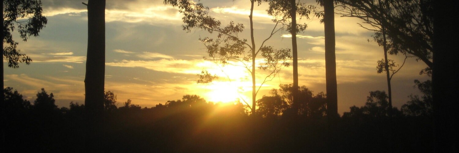 Susanna Way 🇺🇦 banner