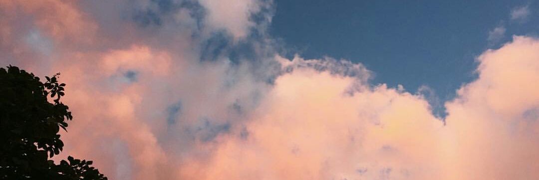 sedanidya's profile banner image